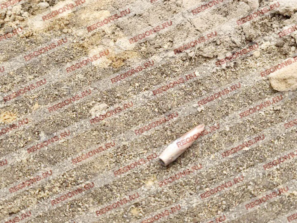 Фото: Виталий Хахин