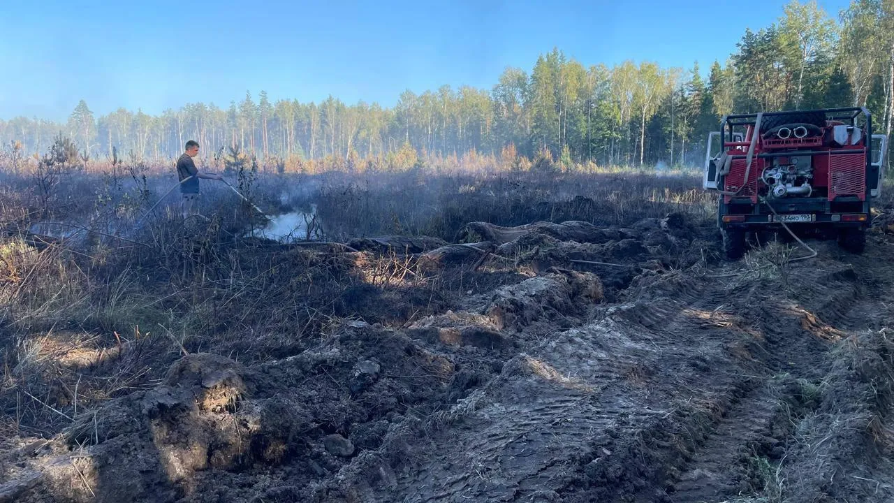 пресс-служба Комитета лесного хозяйства Московской области