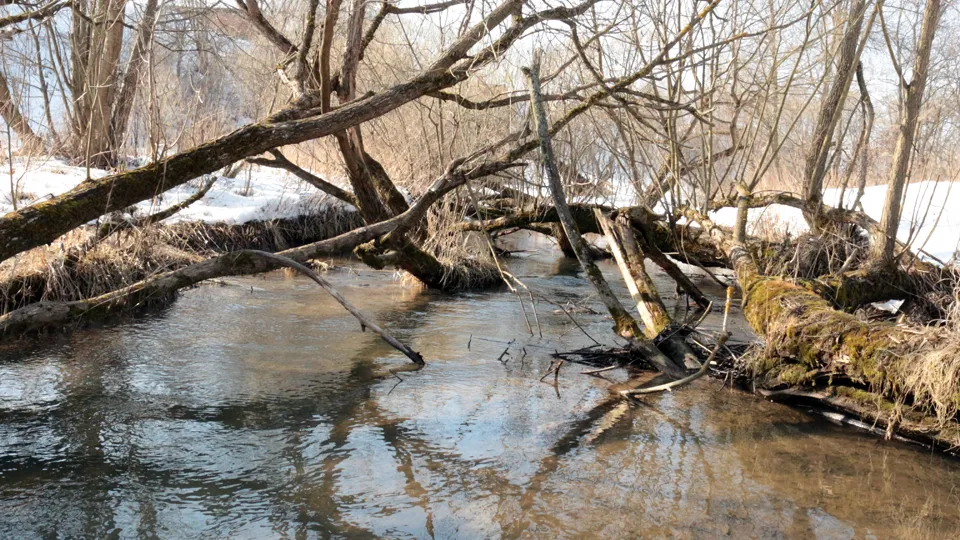 Фото: медиасток.рф