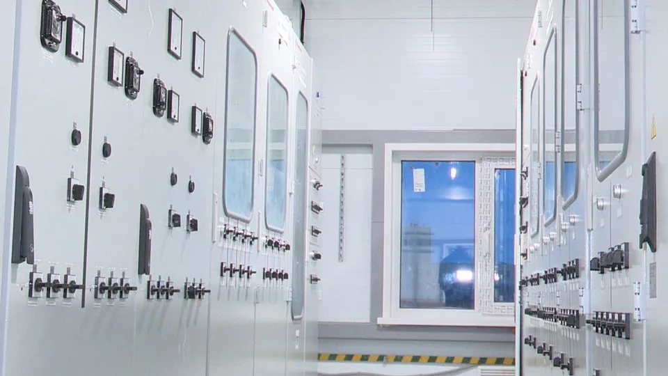 Фото: МедиаБанк Подмосковья/Ксения Казакова