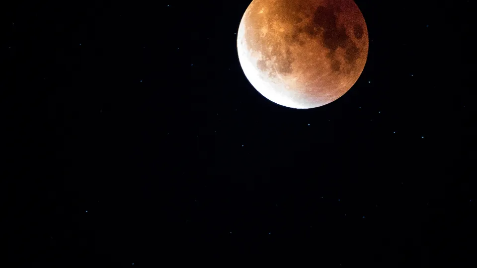 Фото: pxhere.com