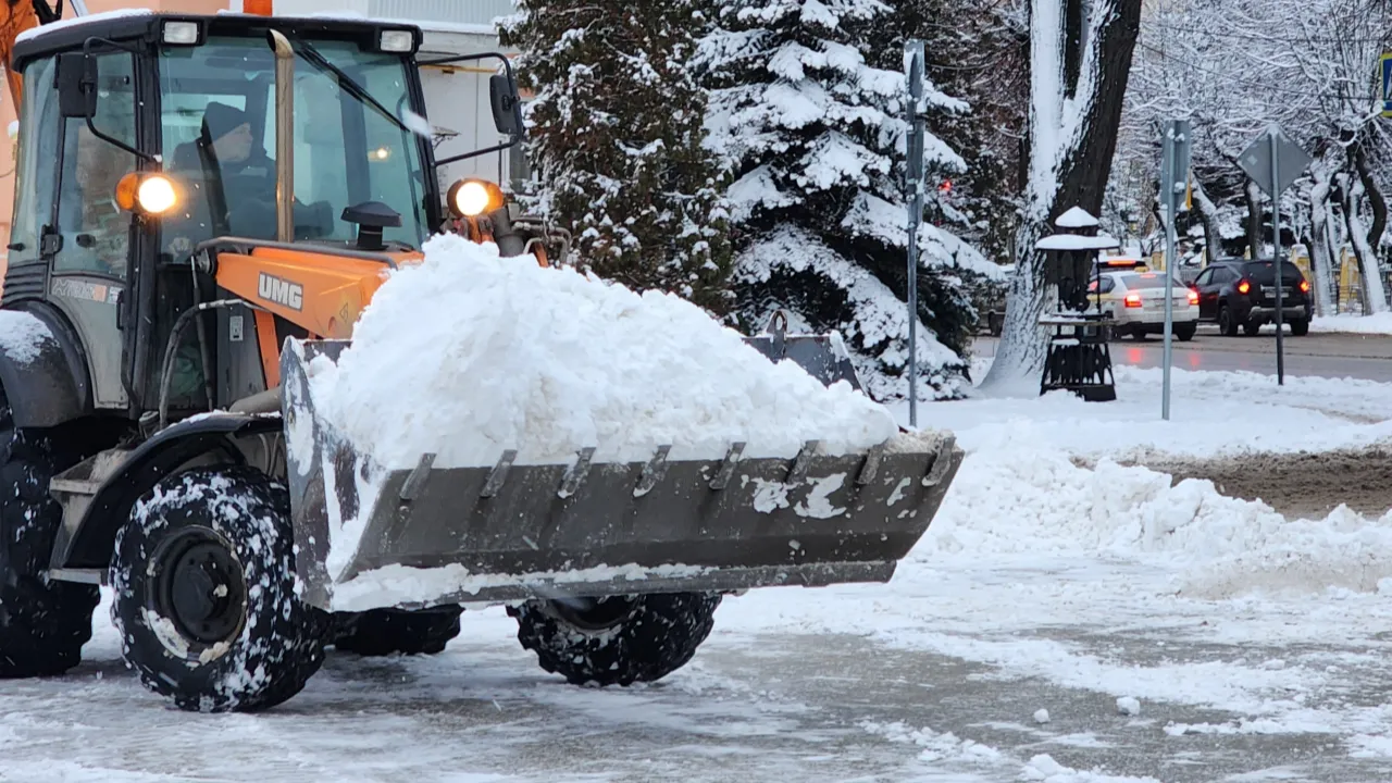 МедиаБанк Подмосковья/Ольга Аввакумова