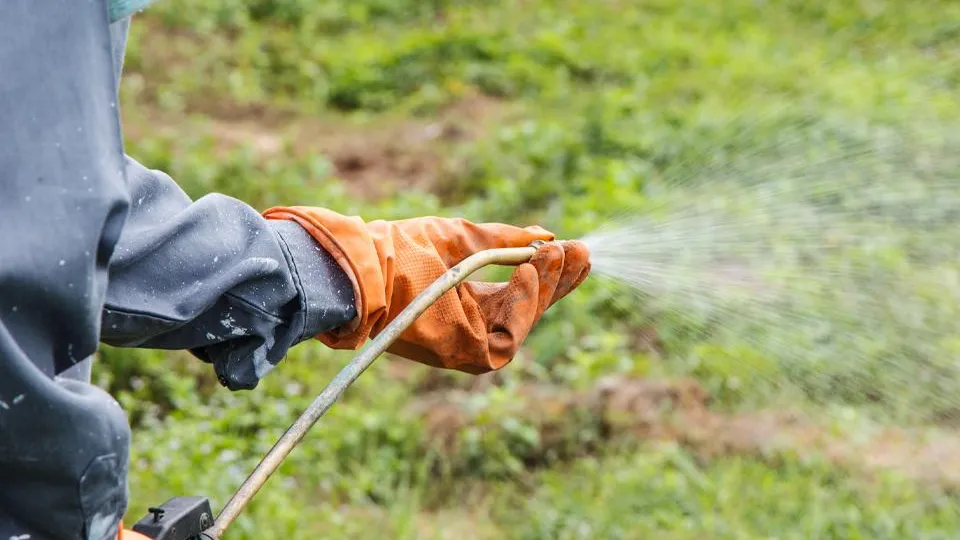 Фото: istockphoto.com