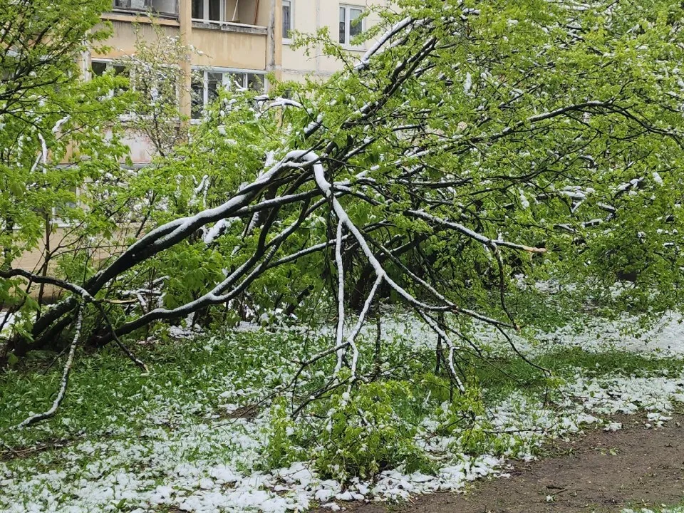 Фото: Артем Мишуков