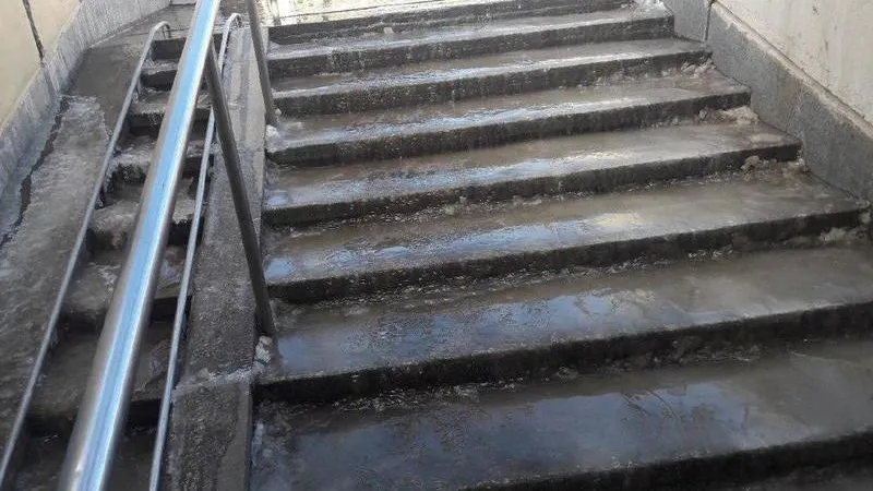 Татьяна Курылёва