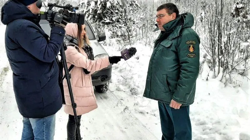 Пресс-служба Комитета лесного хозяйства Московской области