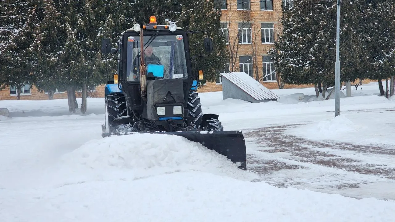 REGIONS/Мария Шигорева