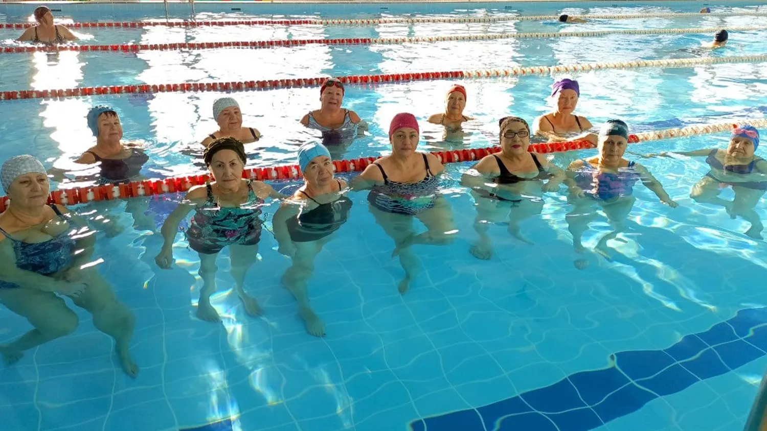 Фото: проект «Активное долголетие» в м.о. Зарайск