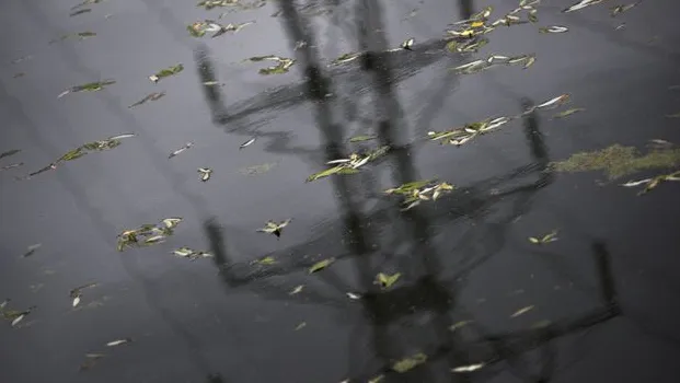 Фото: медиасток.рф