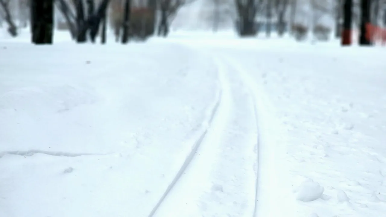 МедиаБанк Подмосковья/Мария Овчинникова