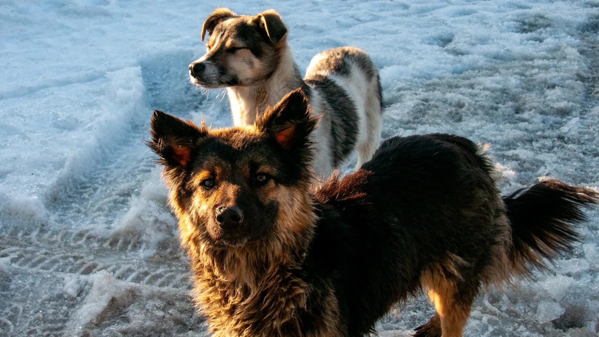 Svetlana Vozmilova/Global Look Press