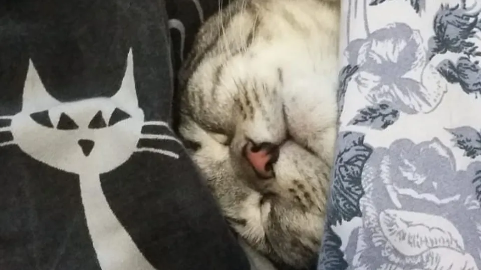 Фото: Анна Буглаева