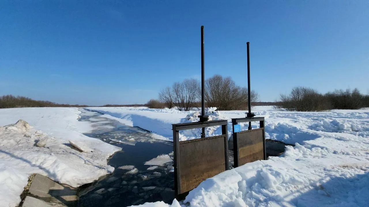 МедиаБанк Подмосковья/Анна Шолохова