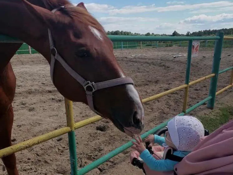 Фото: пресс-служба координационного центра паллиативной медицинской помощи МО