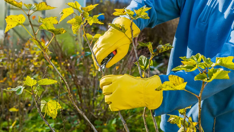 Фото: istockphoto.com/Olga Seifutdinova