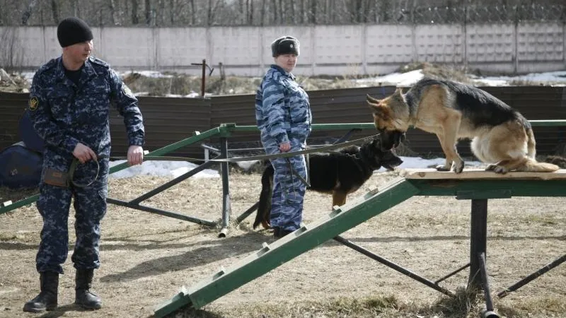 Кирилл Искольдский