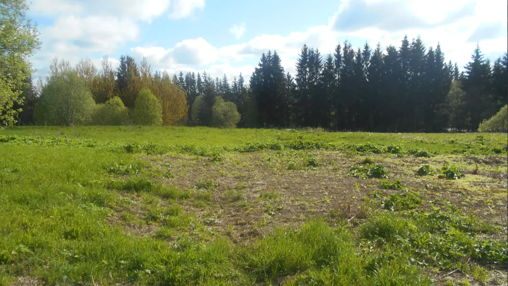 Фото: ЕАСУЗ