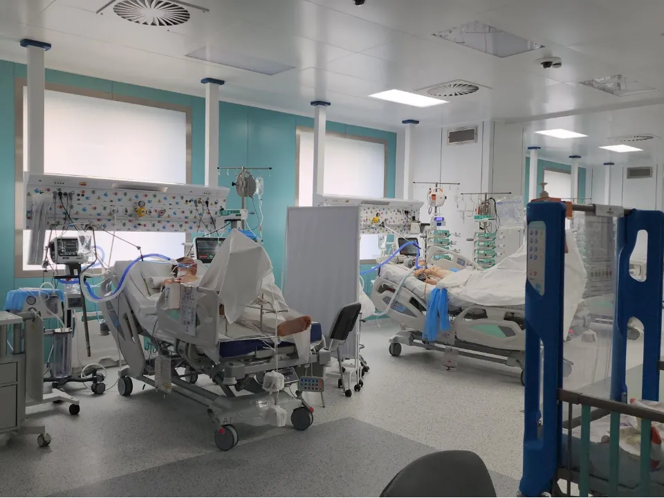 Фото: REGIONS/Артем Мишуков