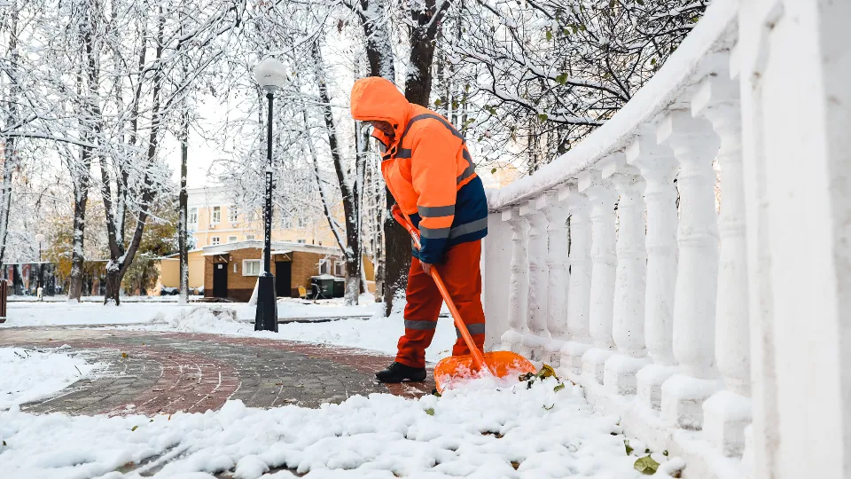 Фото: МедиаБанк Подмосковья/Иван Чижов