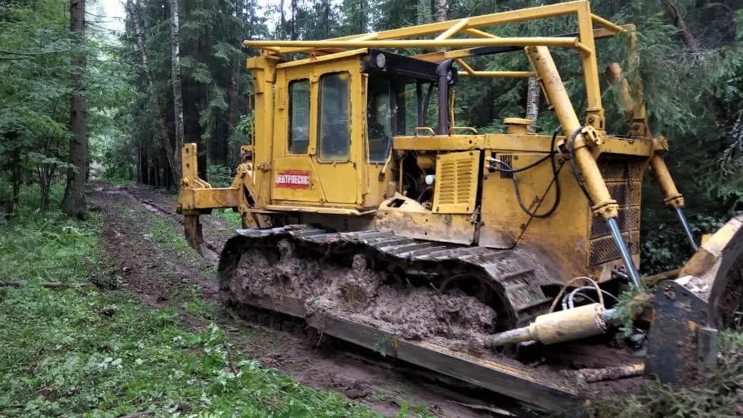 Комитет лесного хозяйства Московской области