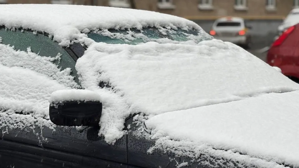 REGIONS/Полина Крачун