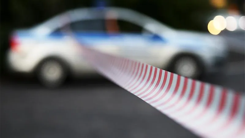 Расчлененный труп мужчины обнаружили в мусорном контейнере под Солнечногорском