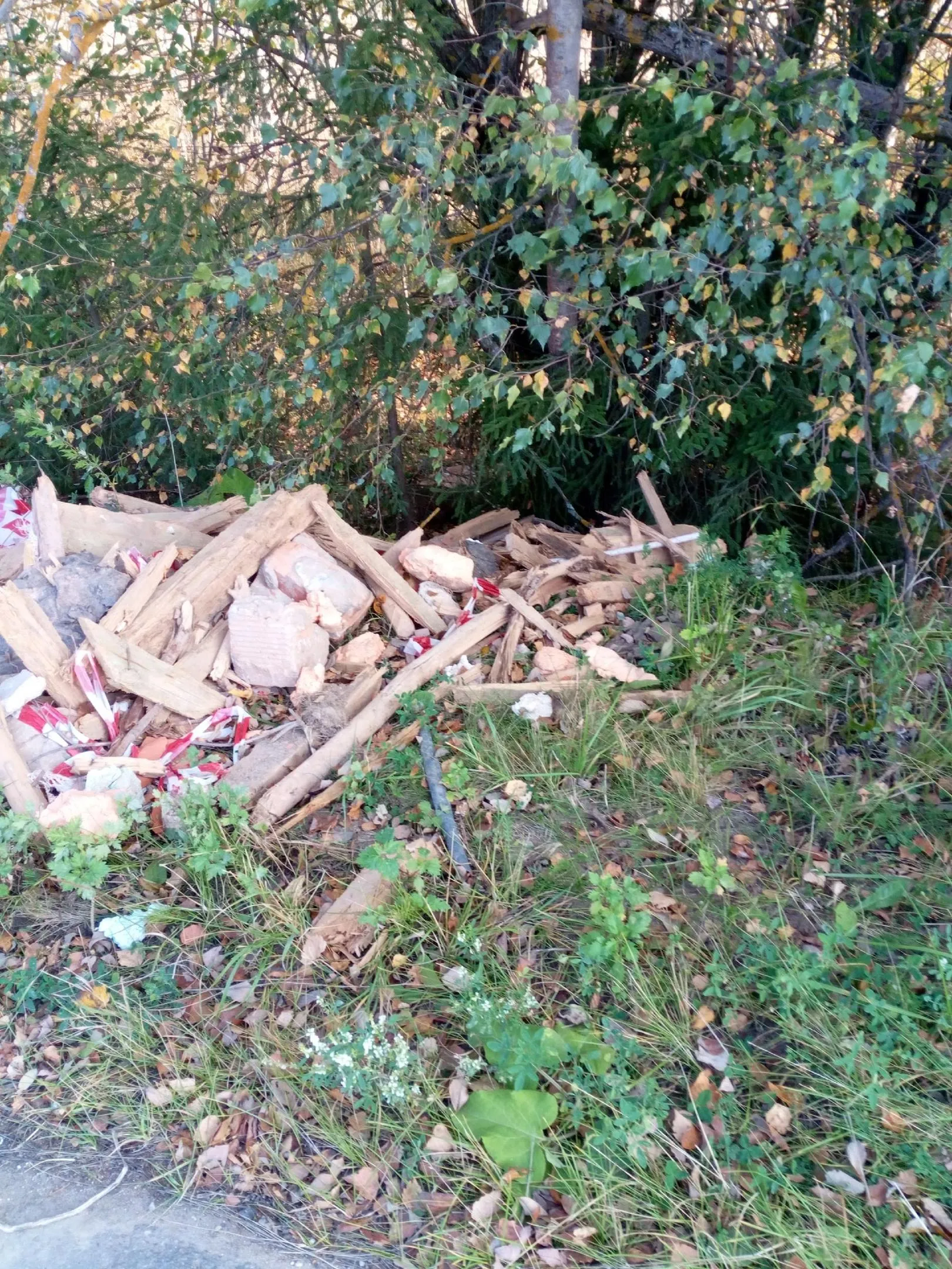 Фото: Подслушано | Истра / ВКонтакте