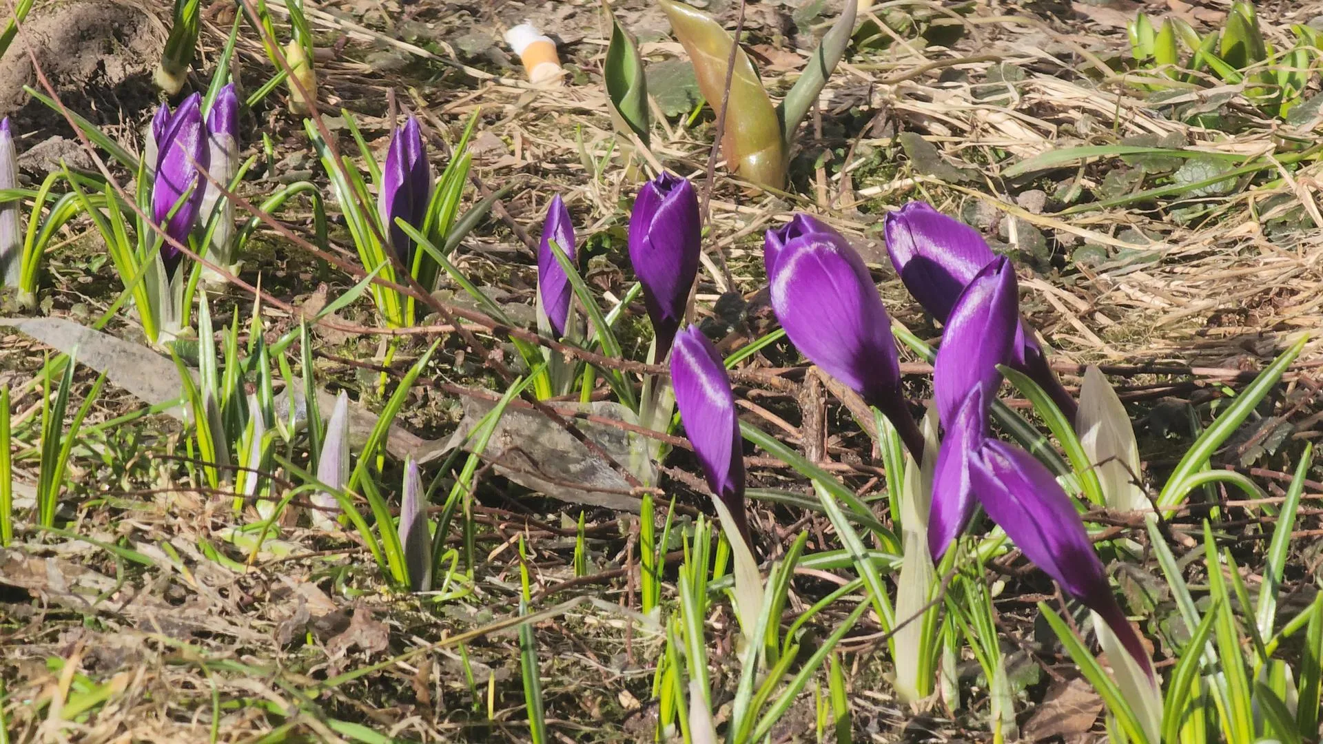 REGIONS/Роман Кутузов