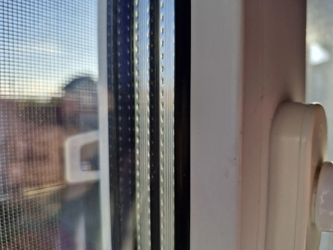 Фото:&nbsp;REGIONS/Наталия Надточая