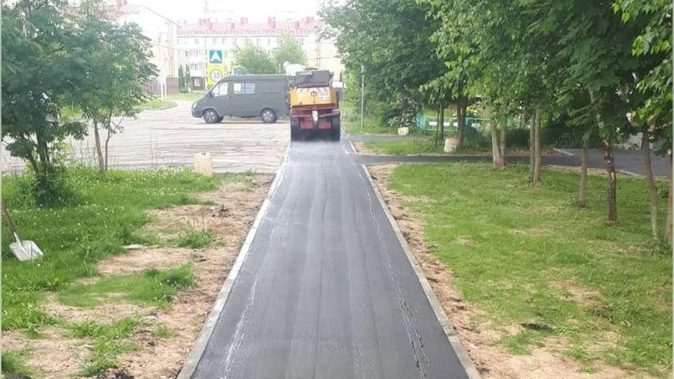 Фото: пресс-служба администрации городского округа Истра