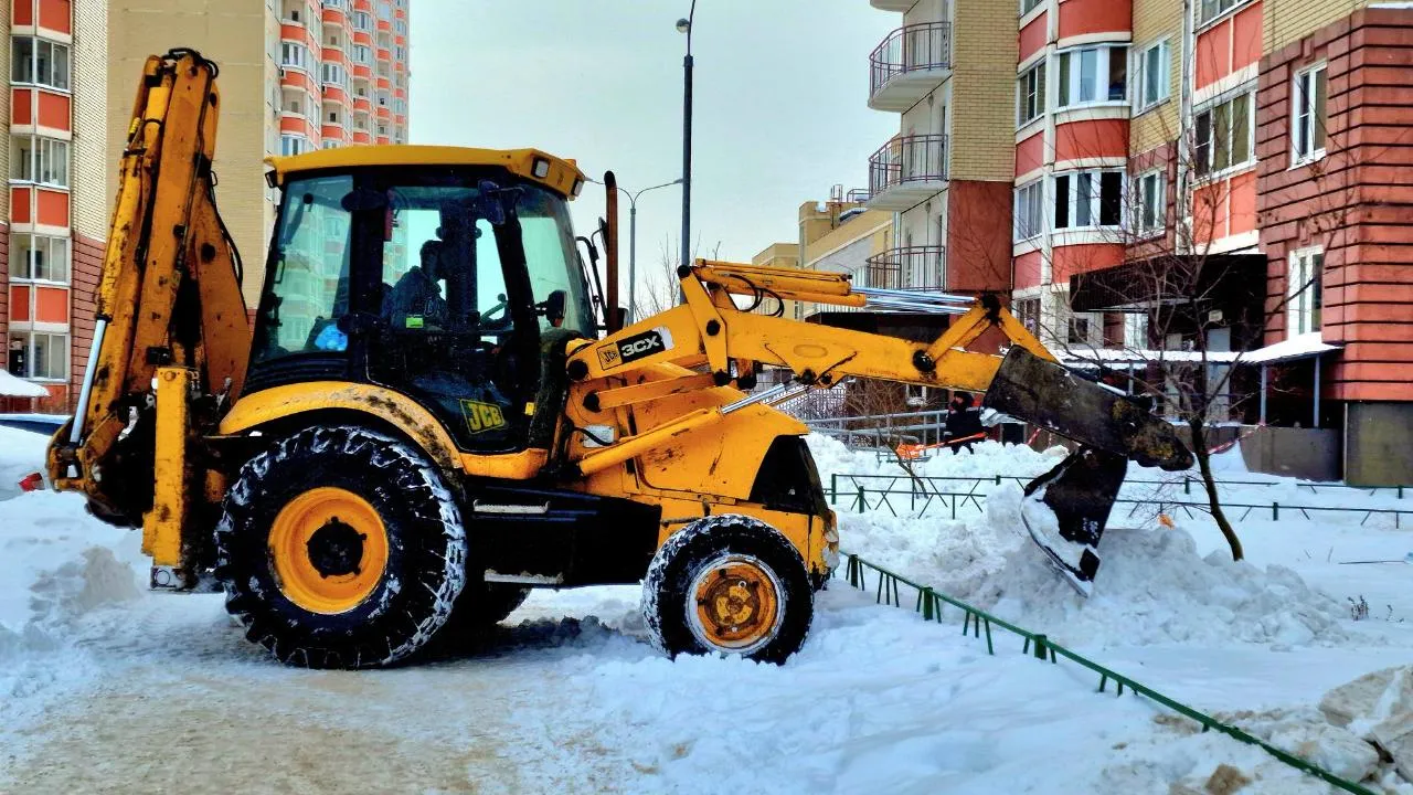 Виктория Фортуна