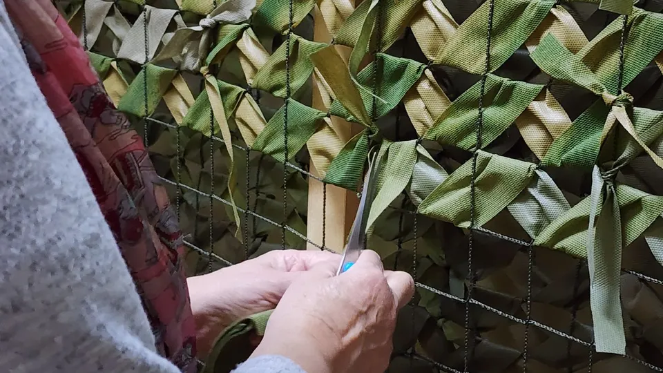 Фото: МедиаБанк Подмосковья/Ксения Пашуто