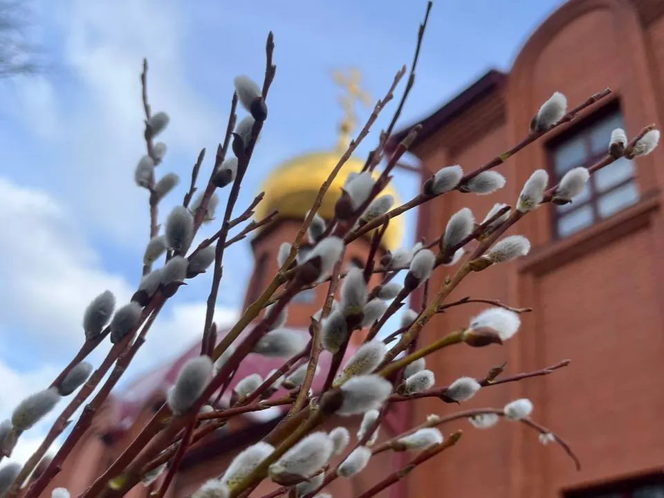 Фото: Мария Кича