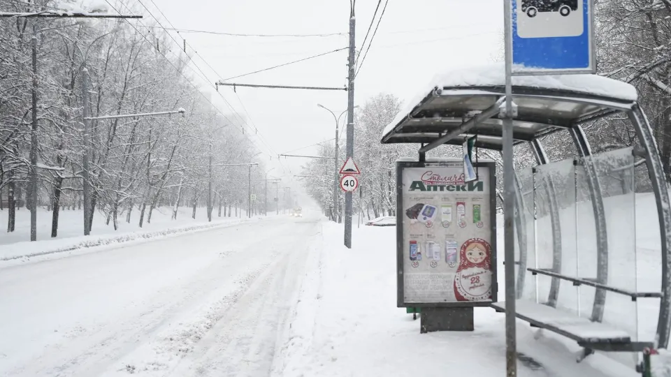 Фото: медиасток.рф