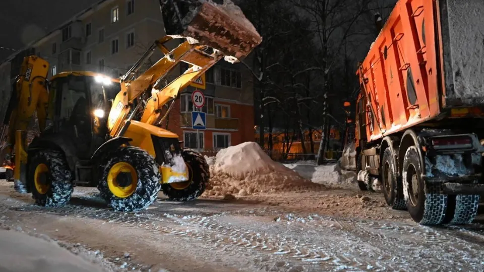 Фото: пресс-служба администрации г.о. Лосино-Петровский