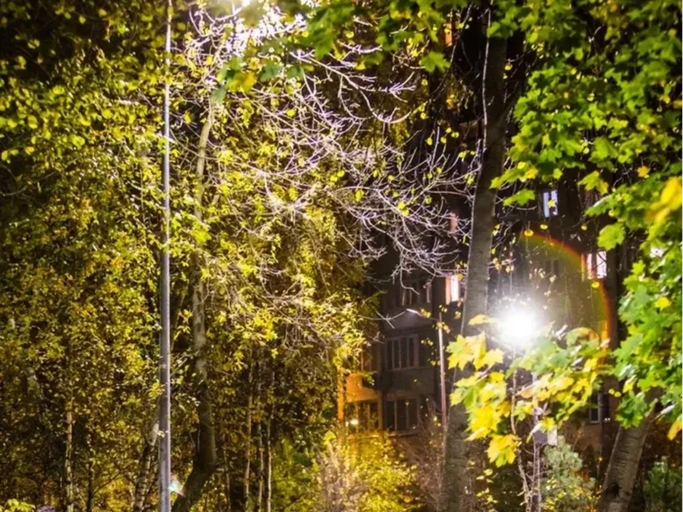 Фото: Министерство благоустройства Московской области