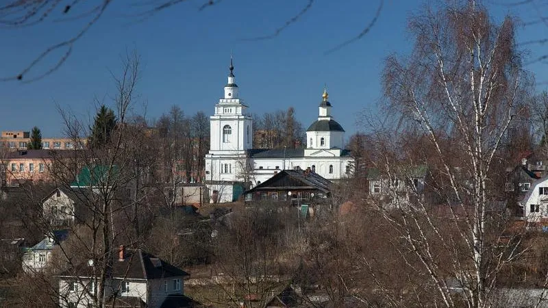 Предложения по развитию Рузы подготовят на основе мнения жителей