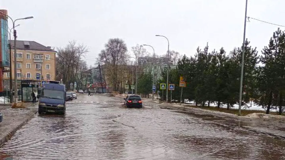 Фото: пресс-служба администрации г. о. Лосино-Петровский