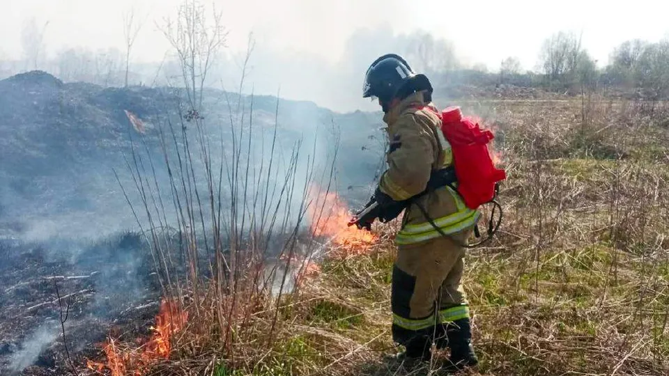 Фото: ГКУ МО «Мособлпожспас»