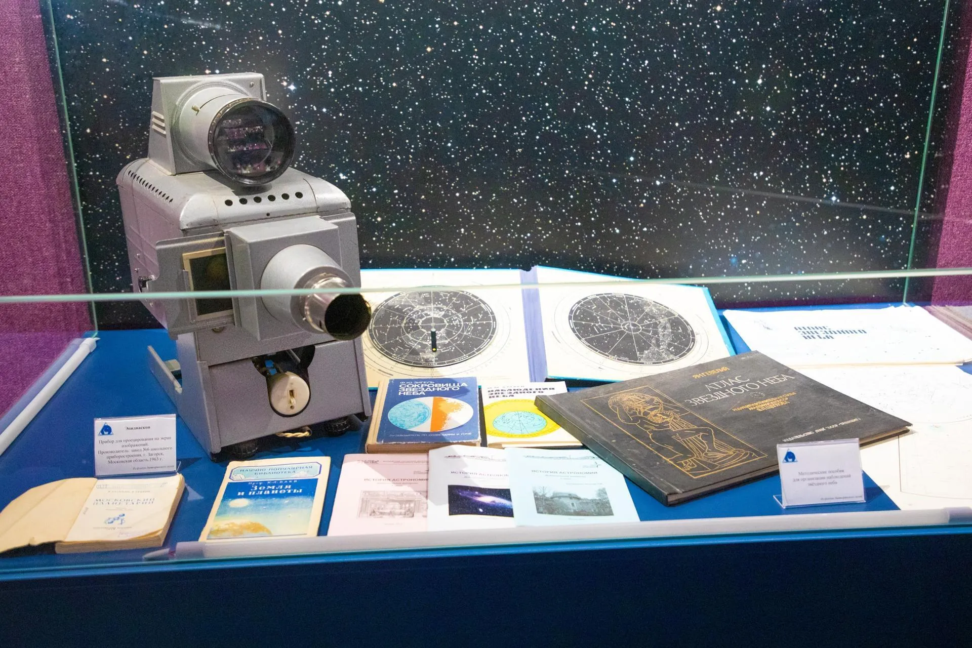 Фото: Анастасия Харченко