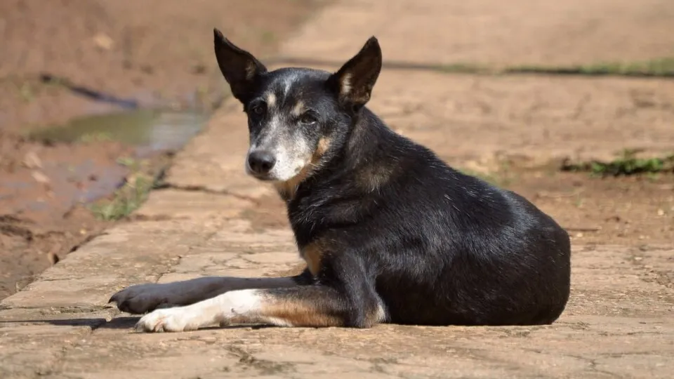 Фото: freepik.com