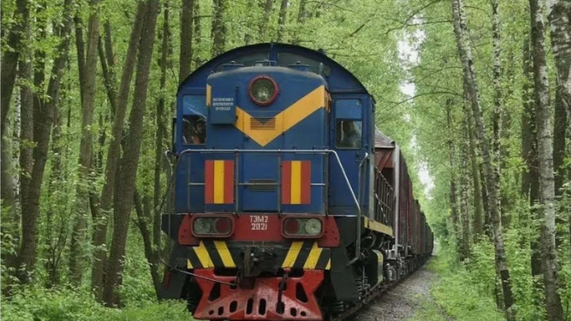 Фото: городская доска объявлений