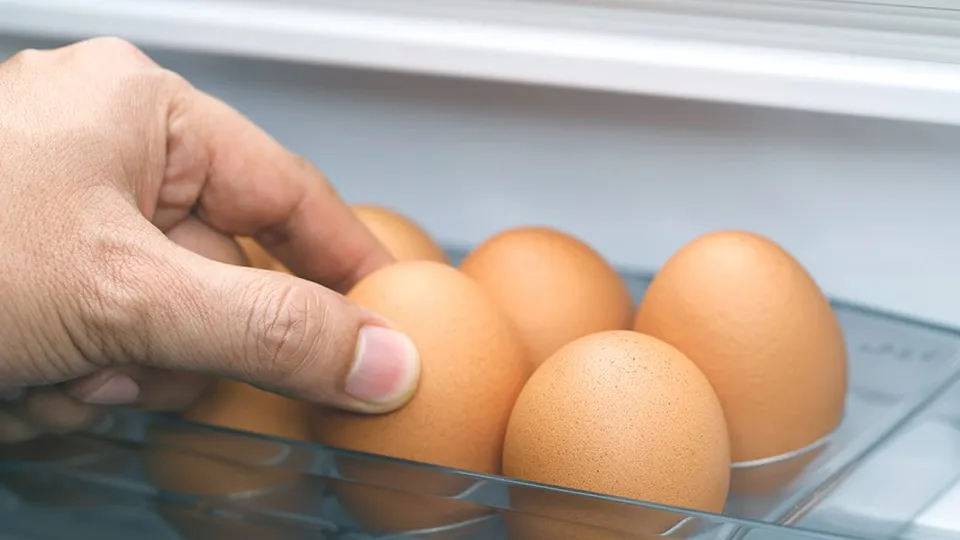 Фото: istockphoto.com/Rattankun Thongbun