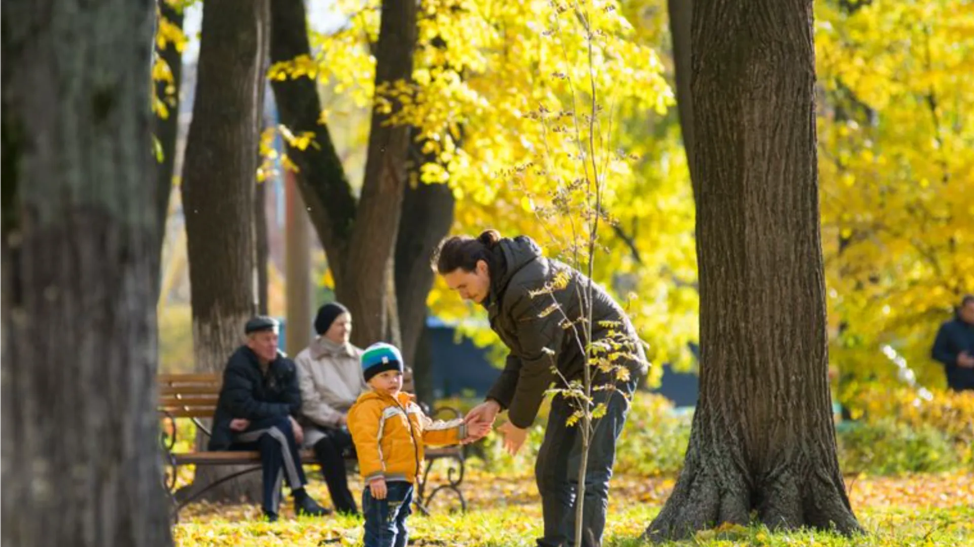 Фото: медиасток.рф