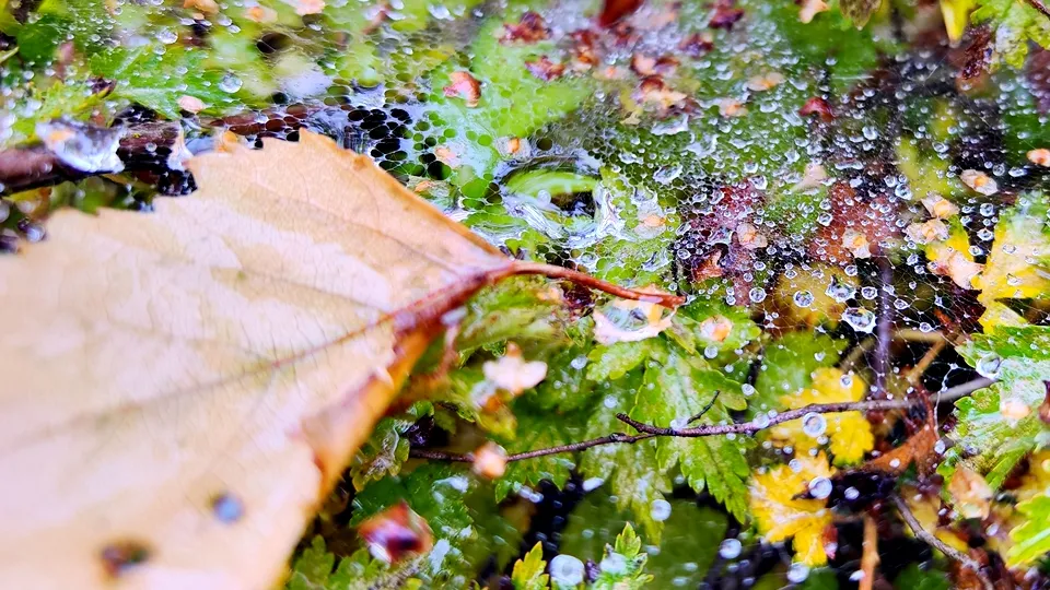 Фото: REGIONS/Алексей Селиверстов