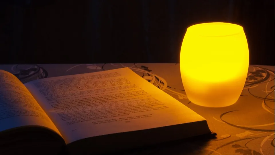 Фото: pxhere.com