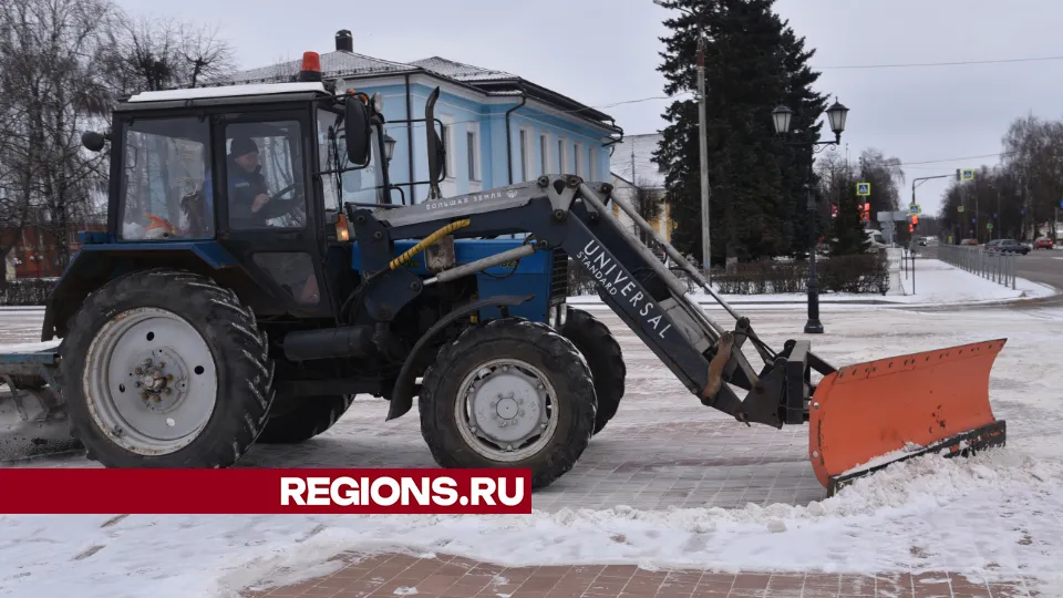 Фото: МедиаБанк Подмосковья/Владимир Останин