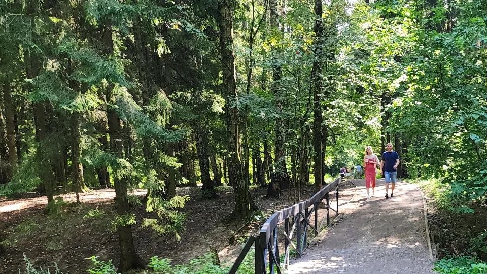 Фото: МедиаБанк Подмосковья/ Никита Сморкалов