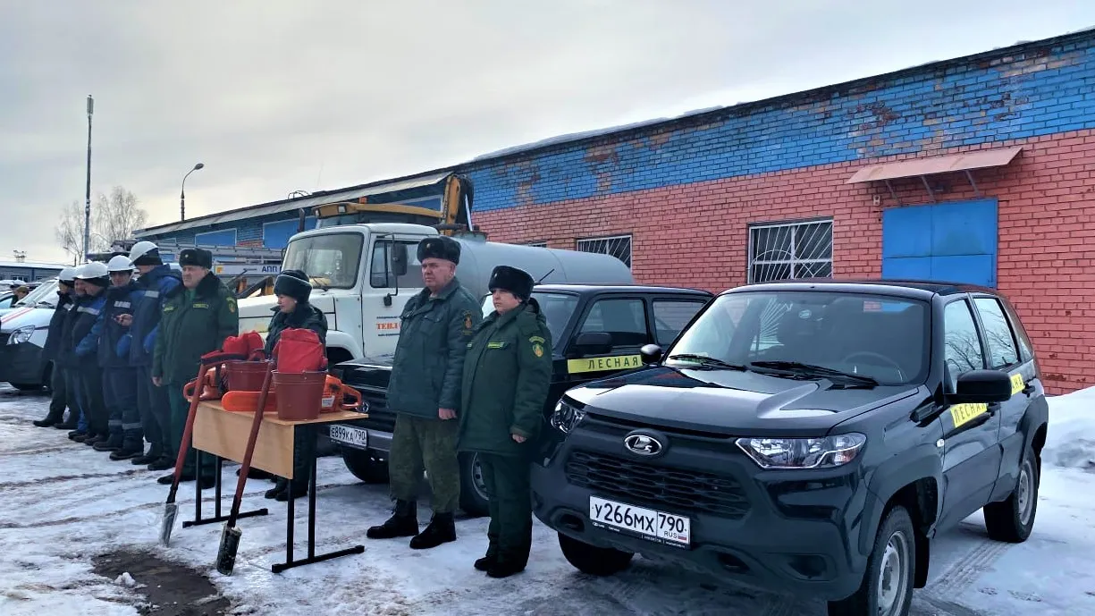 Фото: Комитет лесного хозяйства Московской области