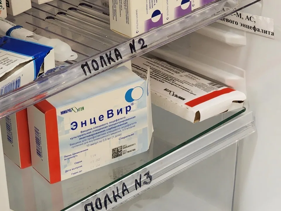 Фото: МедиаБанк Подмосковья/Ольга&nbsp;Фельдфебелева